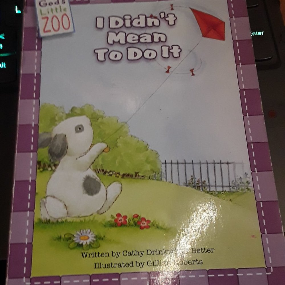 i didn't mean to do it book